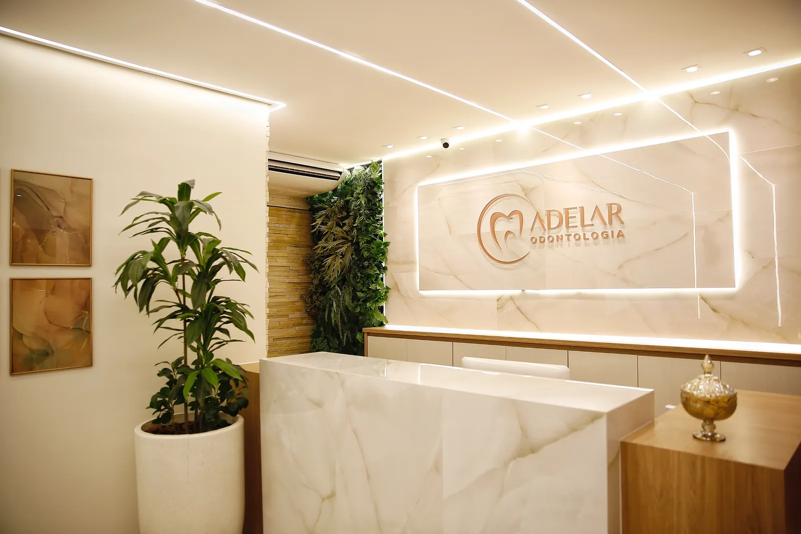Recepção da Adelar Odontologia, com balcão de mármore claro, madeira e plantas